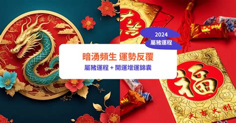 2024 屬豬|【屬豬2024生肖運勢】暗湧頻生，運勢反覆｜屬豬運 